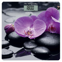 Scarlett SC-BS33E067