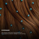 CECOTEC Bamba CeramicCare 12in1 AirGlam Champagne (CCTC-00249)