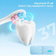 Oclean Kids Electric Toothbrush Blue (6970810552379)